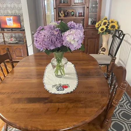 Quinta Ti Lita 펜션