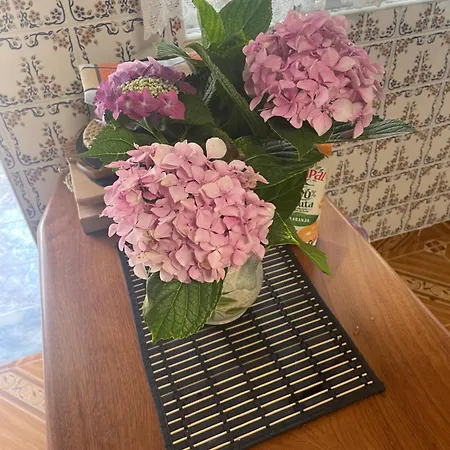 Quinta Ti Lita 토샤