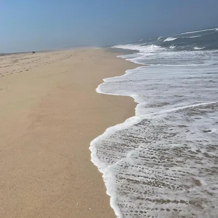 Quinta Ti Lita * 토샤